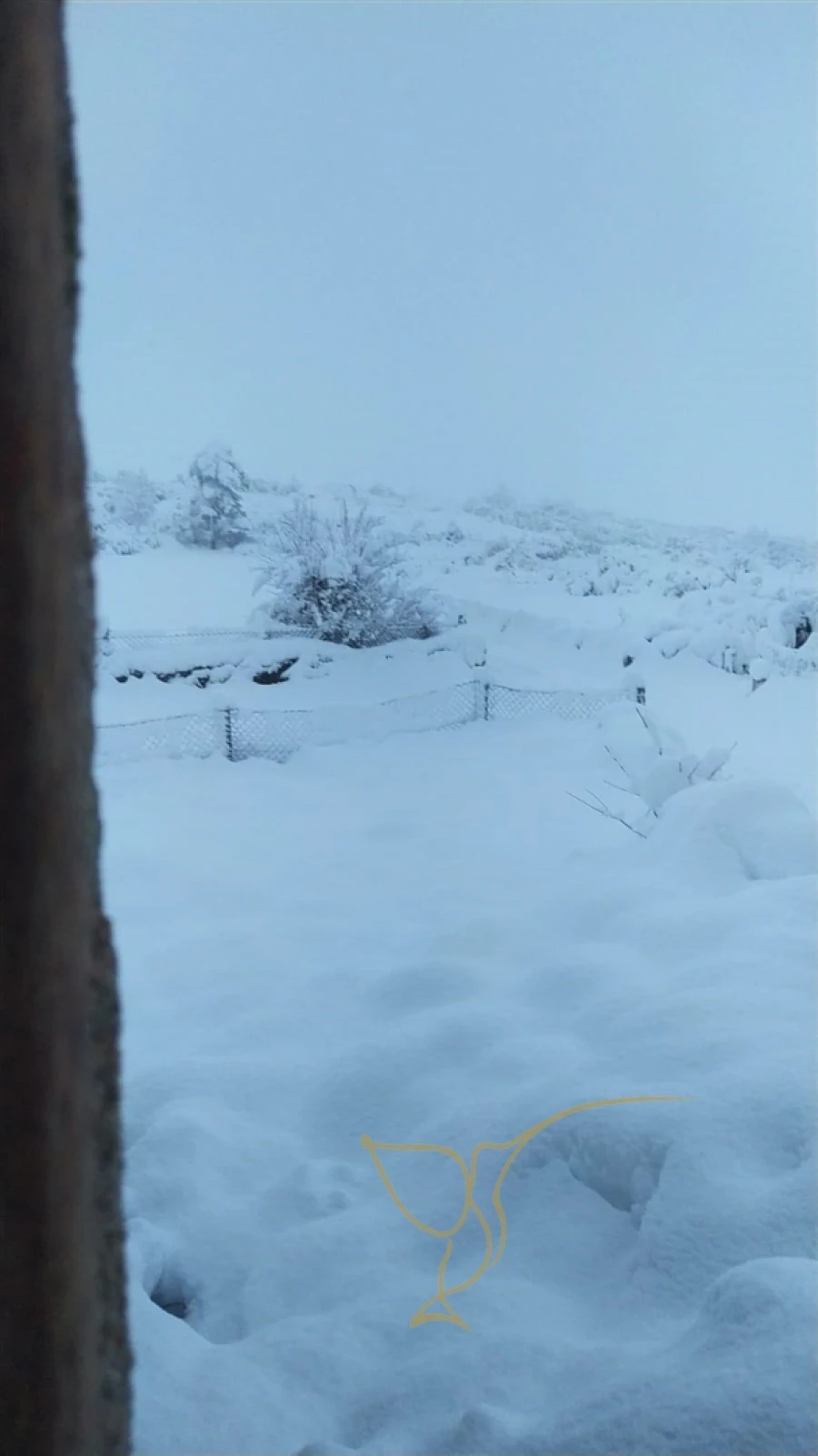 Moradia T0 para Venda em Castro Laboreiro e Lamas de Mouro Foto 11