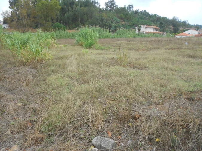 Terreno para Venda em Taveiro, Ameal e Arzila Foto 8