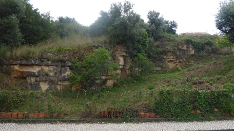 Terreno para Venda em Santa Clara e Castelo Viegas