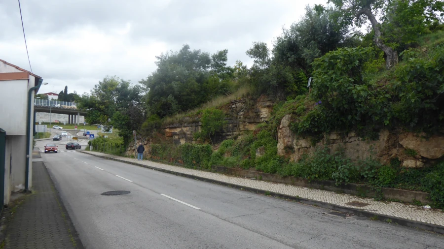Terreno para Venda em Santa Clara e Castelo Viegas Foto 2