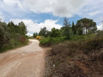 Terreno para Venda em Assafarge e Antanhol