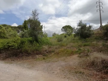 Terreno para Venda em Assafarge e Antanhol