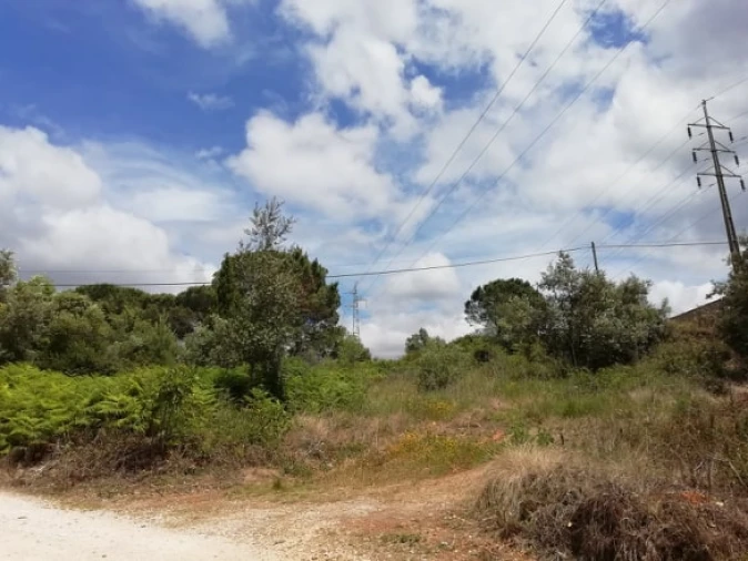 Terreno para Venda em Assafarge e Antanhol Foto 4
