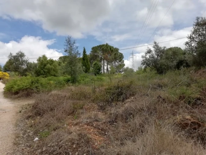 Terreno para Venda em Assafarge e Antanhol Foto 5