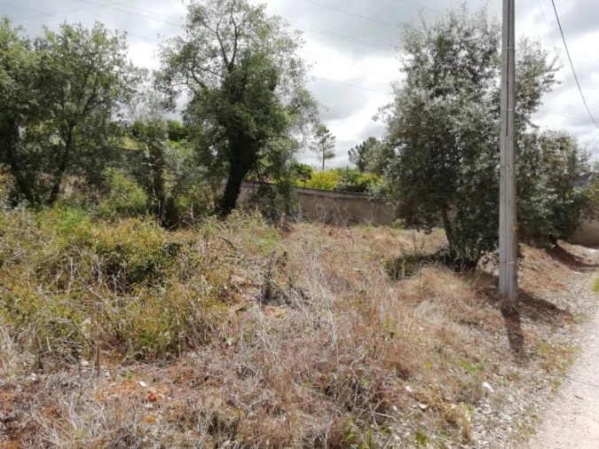 Terreno para Venda em Assafarge e Antanhol Foto 3