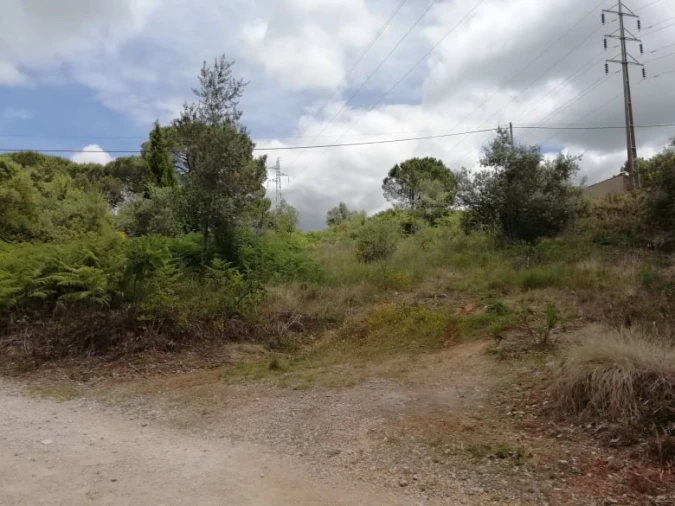 Terreno para Venda em Assafarge e Antanhol Foto 2