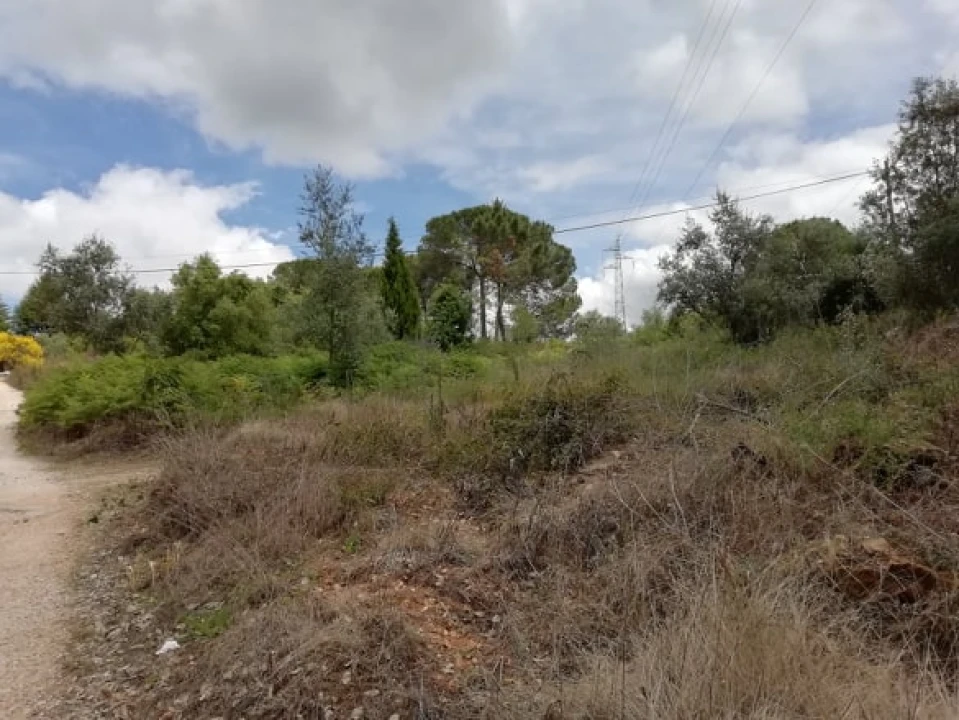 Terreno para Venda em Assafarge e Antanhol Foto 5