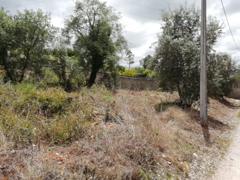 Terreno para Venda em Assafarge e Antanhol Foto 3