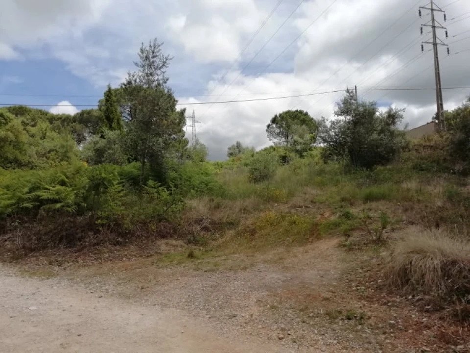 Terreno para Venda em Assafarge e Antanhol Foto 2