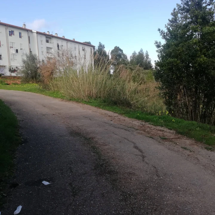Terreno para Venda em Eiras e São Paulo de Frades Foto 8