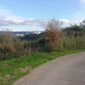 Terreno para Venda em Eiras e São Paulo de Frades
