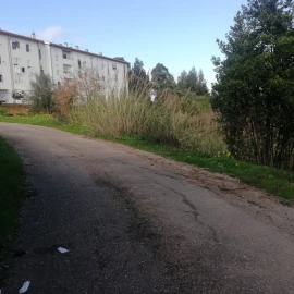 Terreno para Venda em Eiras e São Paulo de Frades