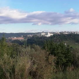 Terreno para Venda em Eiras e São Paulo de Frades