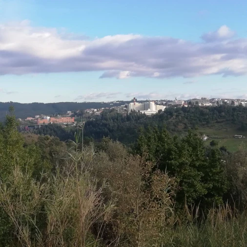 Terreno para Venda em Eiras e São Paulo de Frades Foto 9
