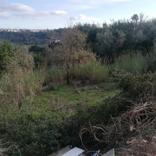 Terreno para Venda em Eiras e São Paulo de Frades Foto 3