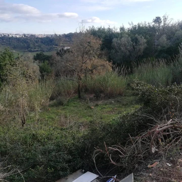 Terreno para Venda em Eiras e São Paulo de Frades Foto 3