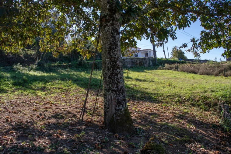 Terreno Misto para Venda em Lousã e Vilarinho Foto 3