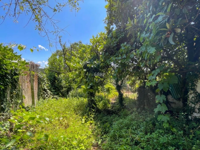 Moradia T4 para Venda em Avelar Foto 28