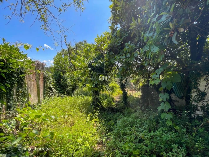 Moradia T4 para Venda em Avelar Foto 2