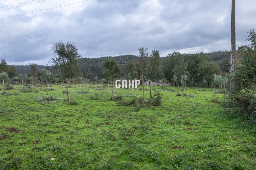 Terreno Agricola ou Rústico para Venda em Oliveira do Mondego e Travanca do Mondego Foto 7