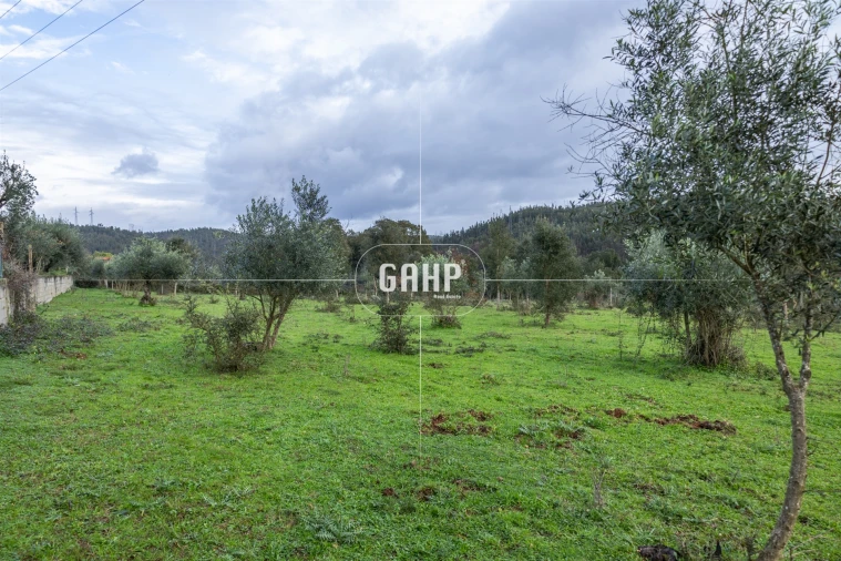Terreno Agricola ou Rústico para Venda em Oliveira do Mondego e Travanca do Mondego Foto 6