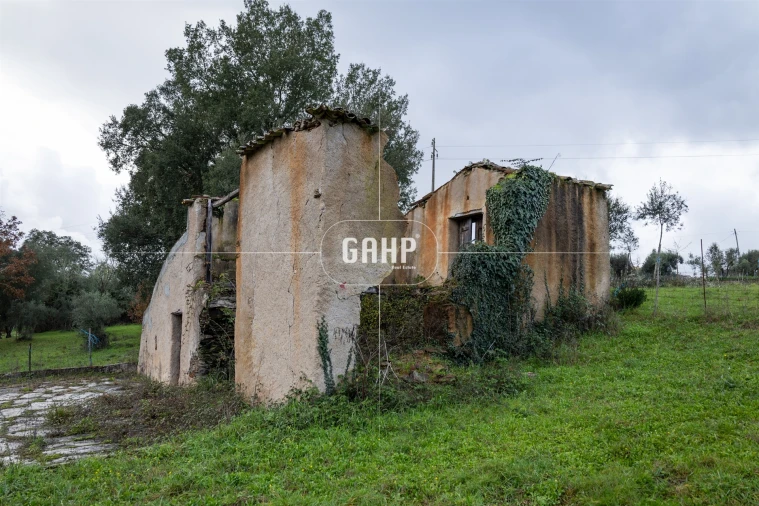 Terreno Agricola ou Rústico para Venda em Oliveira do Mondego e Travanca do Mondego Foto 9