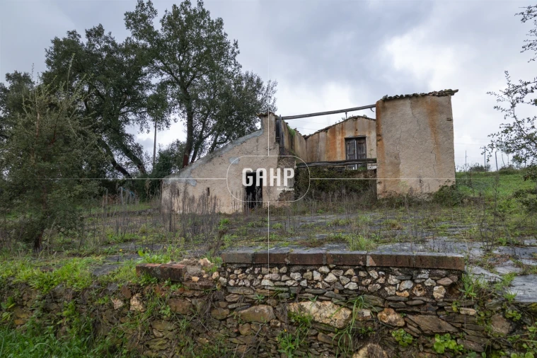Terreno Agricola ou Rústico para Venda em Oliveira do Mondego e Travanca do Mondego Foto 10
