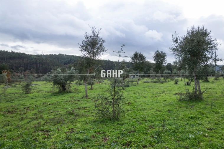Terreno Agricola ou Rústico para Venda em Oliveira do Mondego e Travanca do Mondego