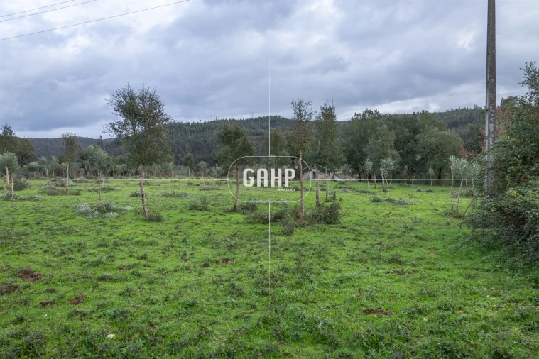 Terreno Agricola ou Rústico para Venda em Oliveira do Mondego e Travanca do Mondego Foto 7