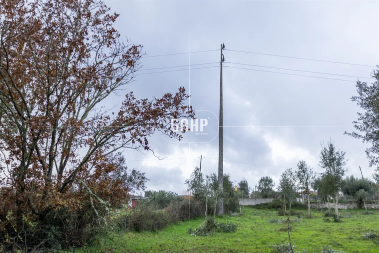 Terreno Agricola ou Rústico para Venda em Oliveira do Mondego e Travanca do Mondego Foto 8