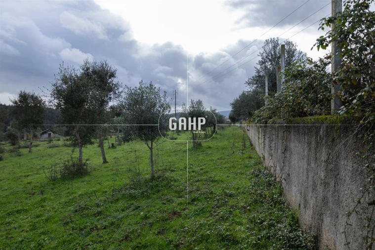 Terreno Agricola ou Rústico para Venda em Oliveira do Mondego e Travanca do Mondego Foto 5