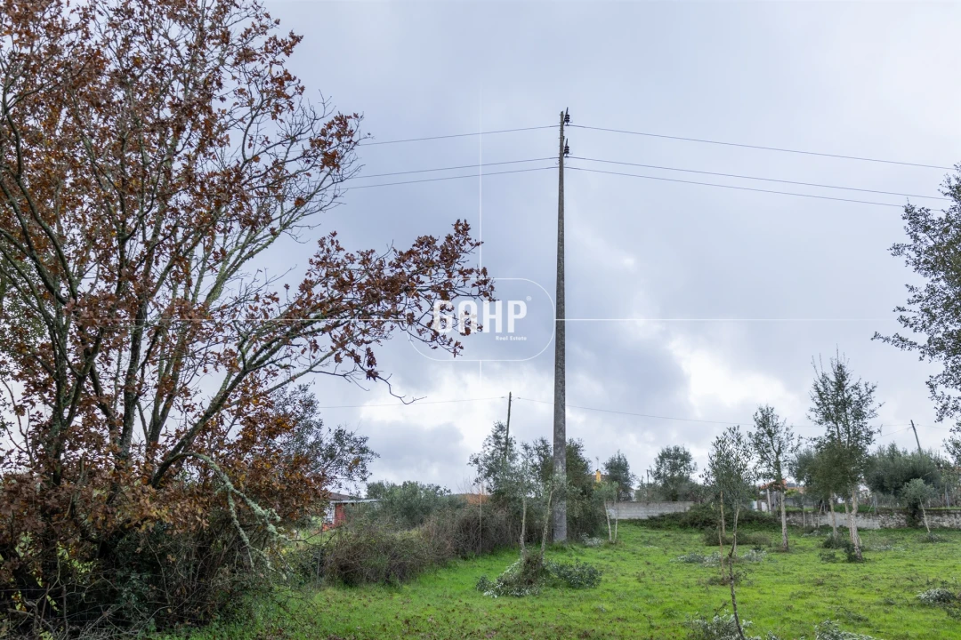Terreno Agricola ou Rústico para Venda em Oliveira do Mondego e Travanca do Mondego Foto 8