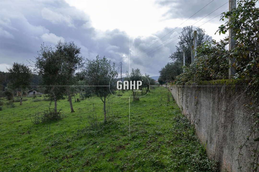 Terreno Agricola ou Rústico para Venda em Oliveira do Mondego e Travanca do Mondego Foto 5