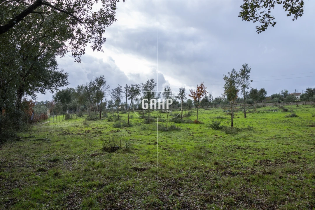Terreno Agricola ou Rústico para Venda em Oliveira do Mondego e Travanca do Mondego Foto 2