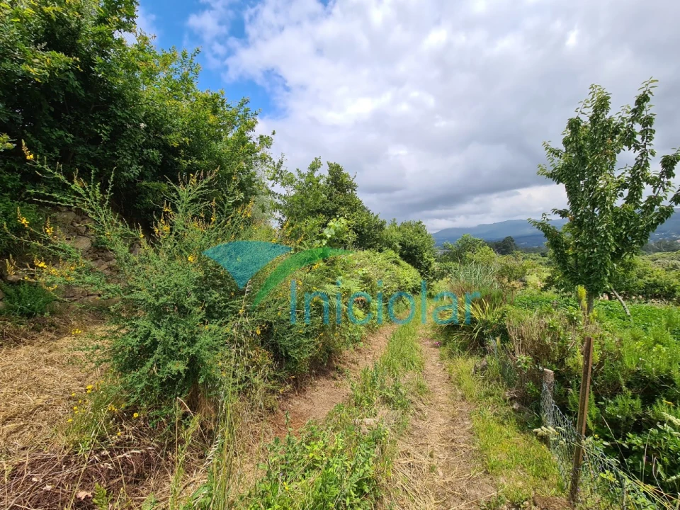 Terreno Agricola ou Rústico para Venda em Valença, Cristelo Covo e Arão Foto 3
