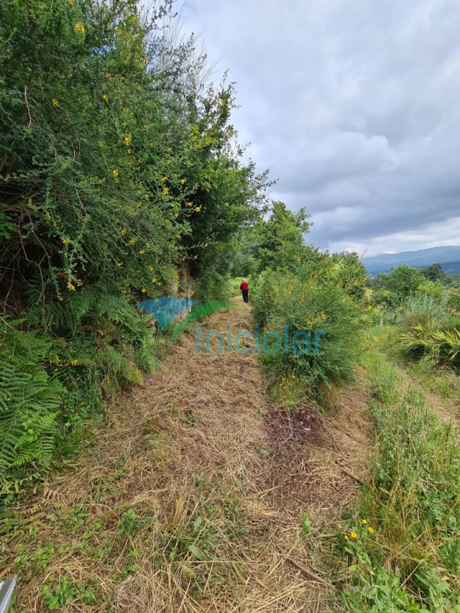 Terreno Agricola ou Rústico para Venda em Valença, Cristelo Covo e Arão Foto 2