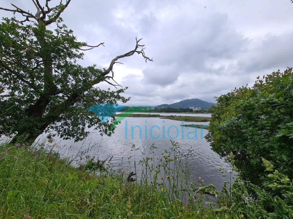 Terreno Agricola ou Rústico para Venda em Subportela, Deocriste e Portela Susã Foto 3