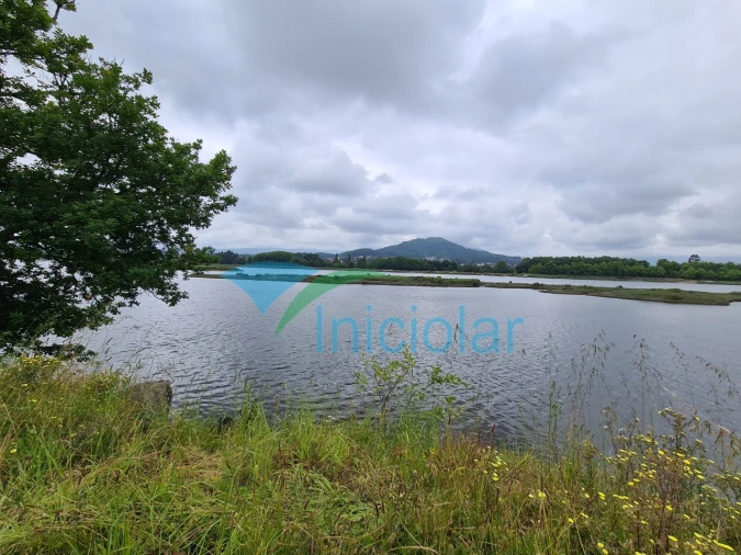 Terreno Agricola ou Rústico para Venda em Subportela, Deocriste e Portela Susã Foto 2