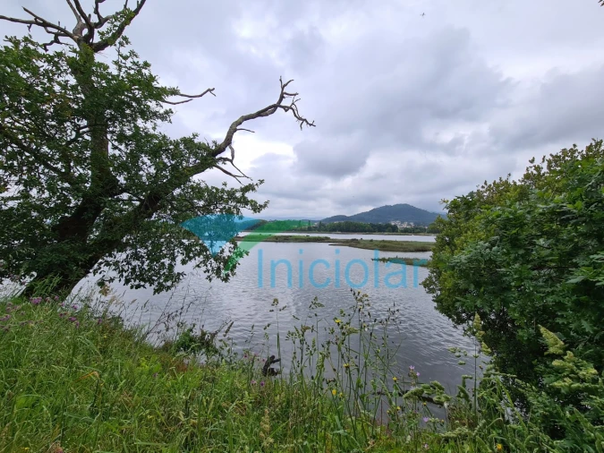 Terreno Agricola ou Rústico para Venda em Subportela, Deocriste e Portela Susã Foto 3