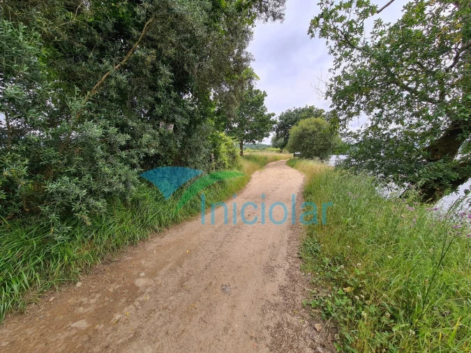 Terreno Agricola ou Rústico para Venda em Subportela, Deocriste e Portela Susã Foto 5