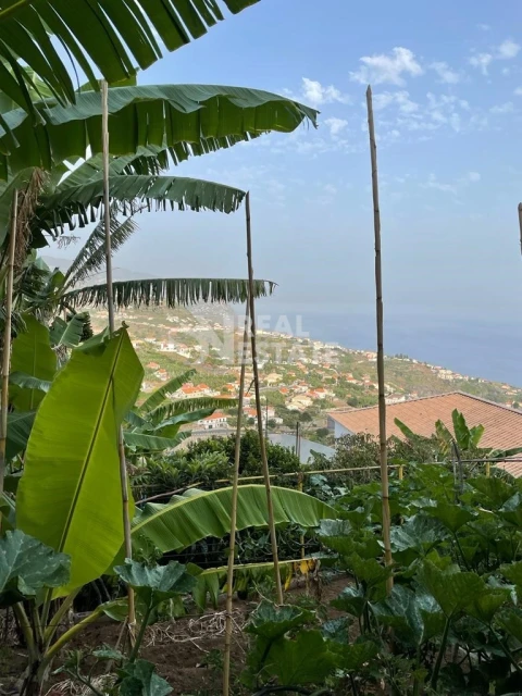 Terreno para Venda em Canhas