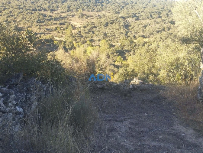 Terreno para Venda em Castelo Mendo, Ade, Monteperobolso e Mesquitela Foto 5