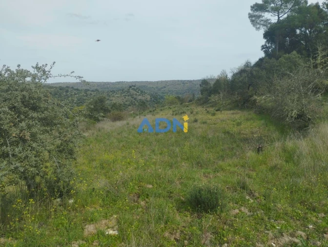 Terreno para Venda em Castelo Mendo, Ade, Monteperobolso e Mesquitela Foto 9