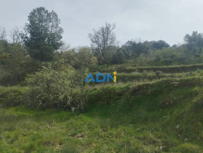 Terreno para Venda em Castelo Mendo, Ade, Monteperobolso e Mesquitela Foto 7