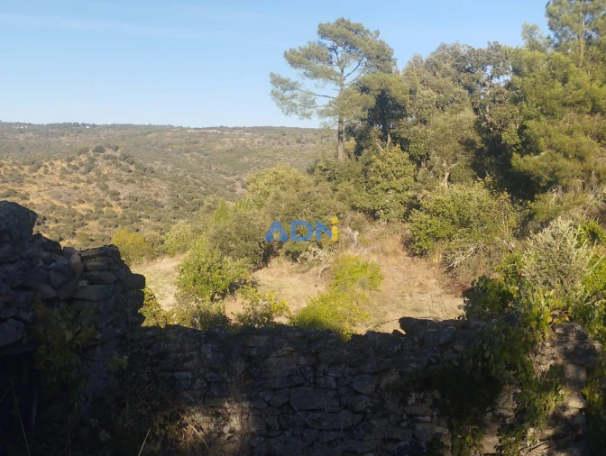 Terreno para Venda em Castelo Mendo, Ade, Monteperobolso e Mesquitela Foto 4