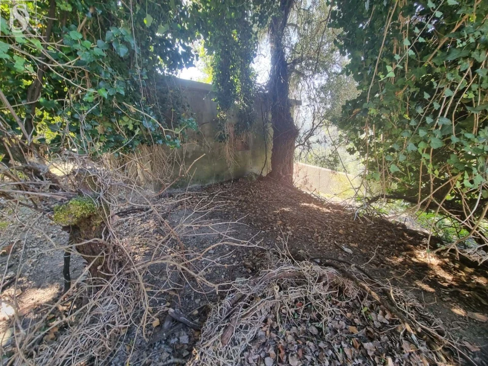 Moradia T3 para Venda em Tabuaças Foto 15