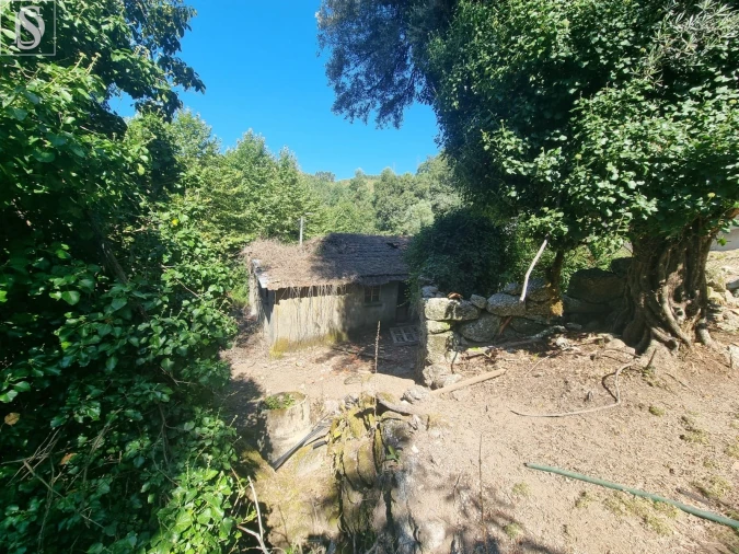 Moradia T3 para Venda em Tabuaças Foto 13