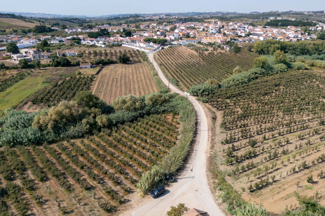 Terreno para Venda em Vermelha Foto 20