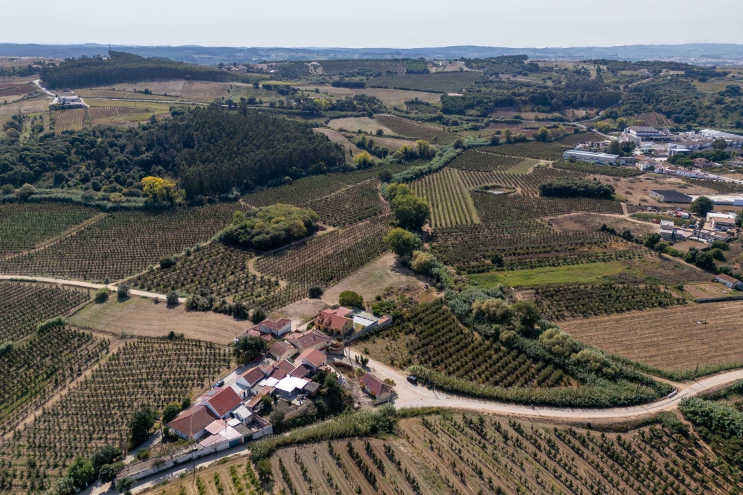 Terreno para Venda em Vermelha Foto 18