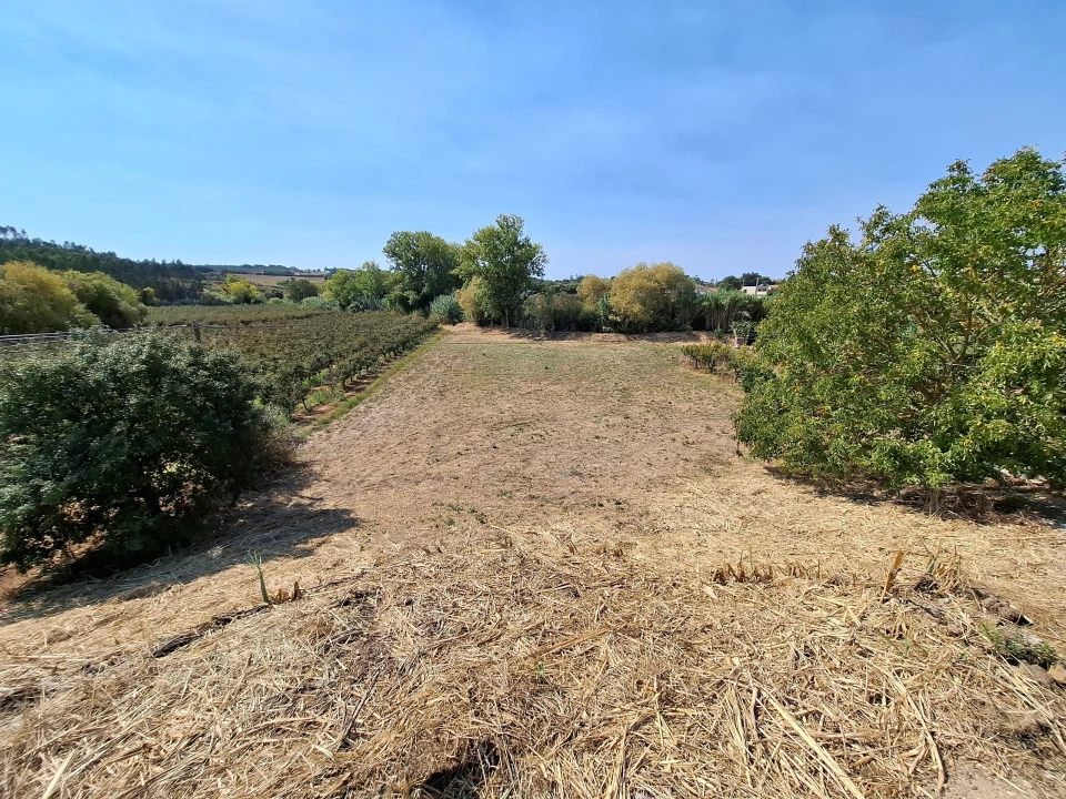 Terreno para Venda em Vermelha Foto 12